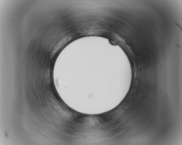 X0000102470250200809051339