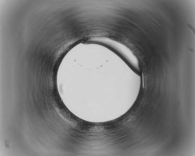 X0000102470252200809051339