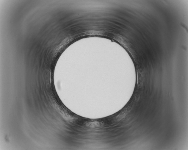 X0000102470253200809051339