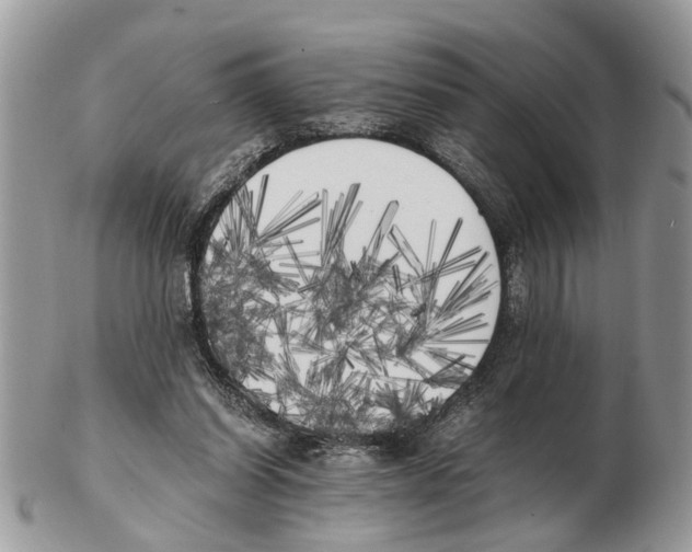 X0000102470254200809051339