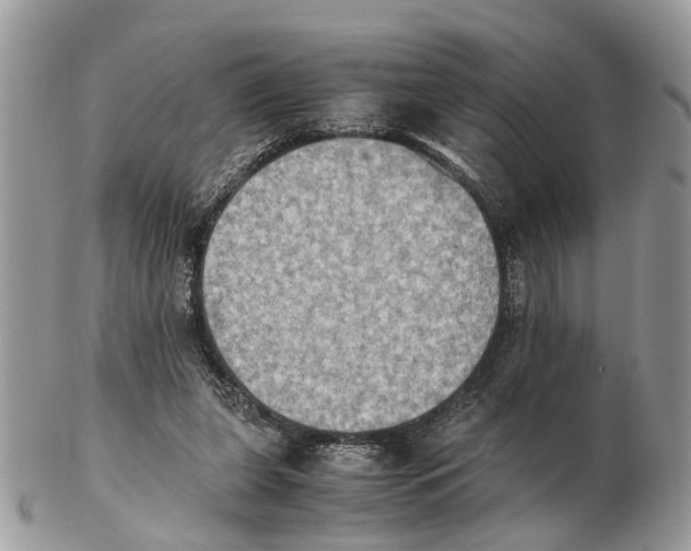 X0000102470255200809051339