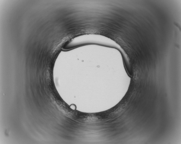 X0000102470256200809051339