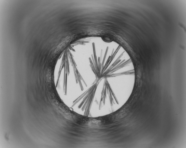 X0000102470257200809051339