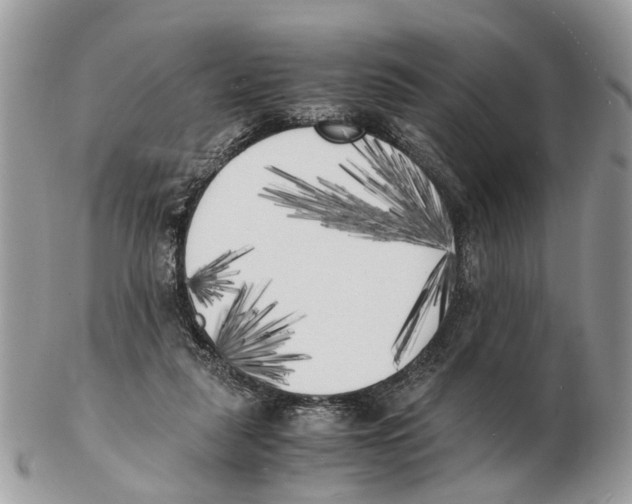 X0000102470259200809051339