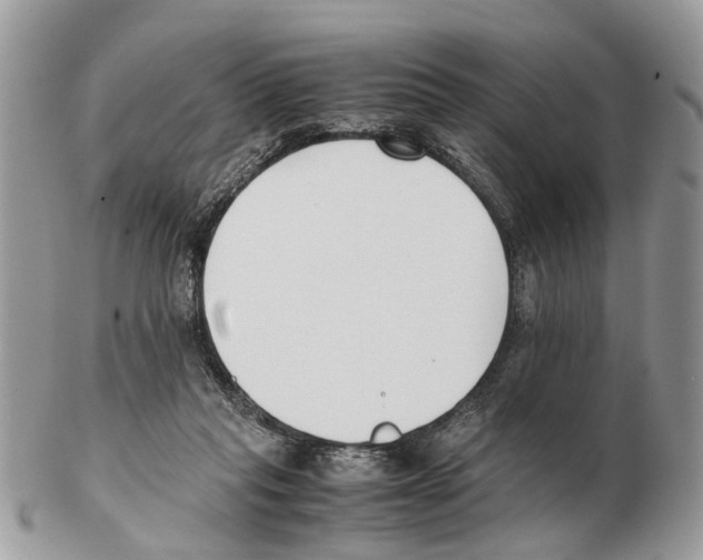 X0000102470261200809051339