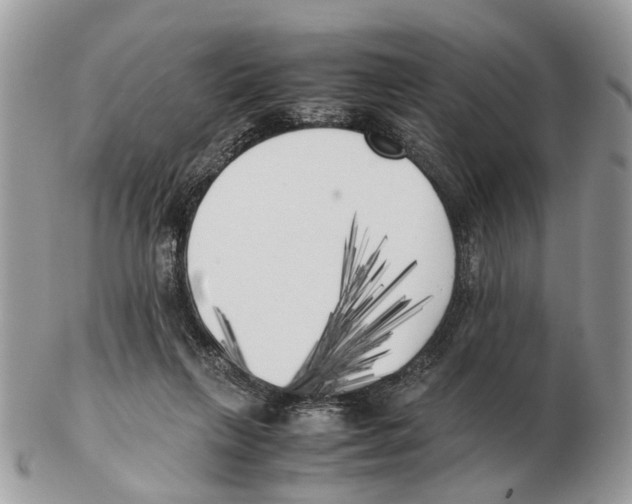X0000102470263200809051339