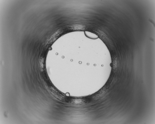 X0000102470264200809051339