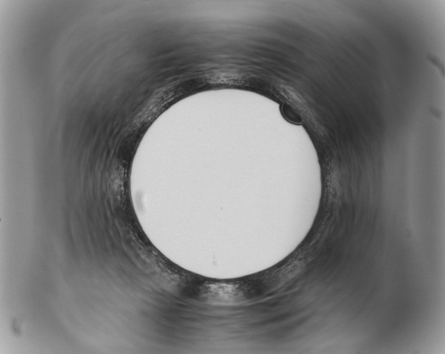 X0000102470265200809051339