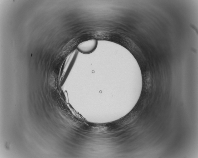 X0000102470266200809051339