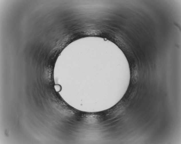 X0000102470268200809051340