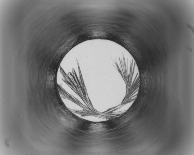 X0000102470269200809051340