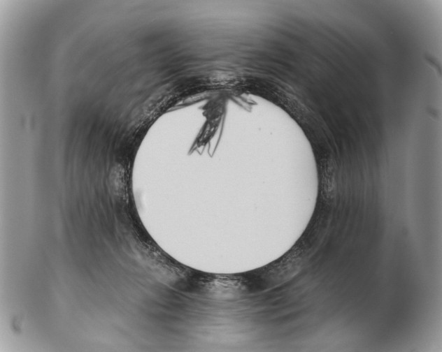 X0000102470270200809051340