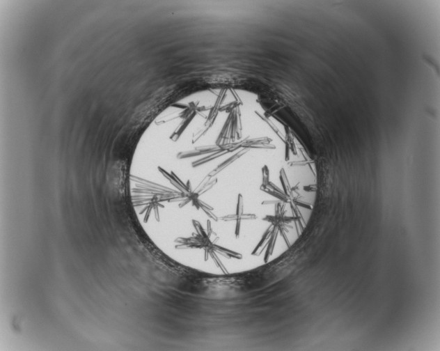 X0000102470273200809051340