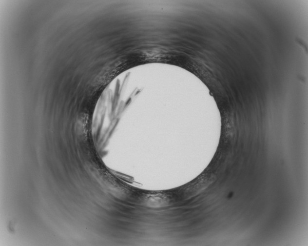 X0000102470275200809051340