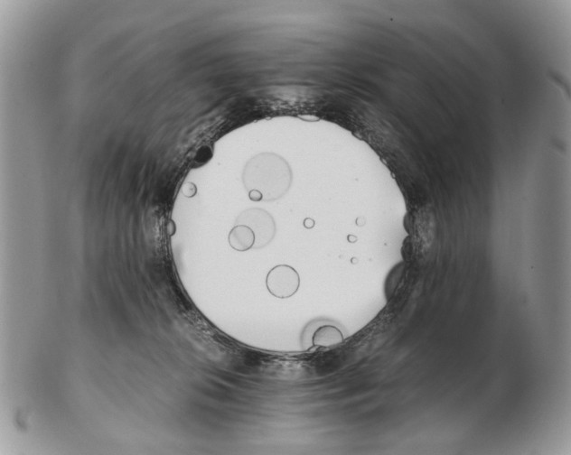 X0000102470276200809051340