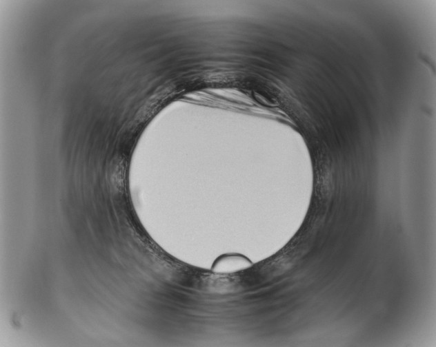 X0000102470277200809051340