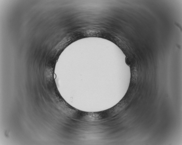 X0000102470278200809051340