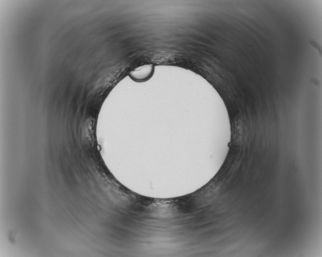 X0000102470280200809051340