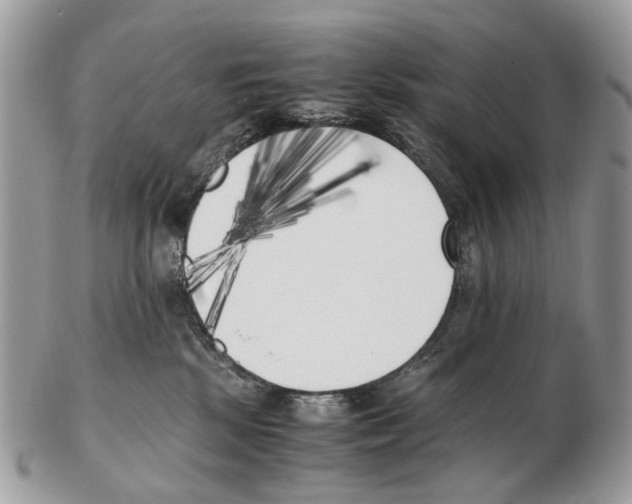 X0000102470281200809051340