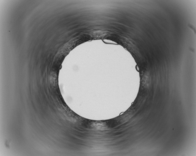 X0000102470283200809051340