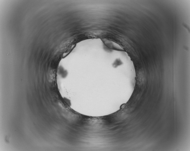 X0000102470284200809051340