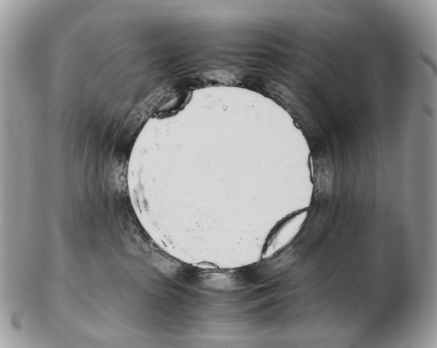 X0000102470285200809051340