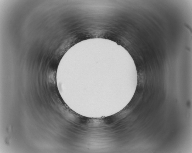 X0000102470286200809051340