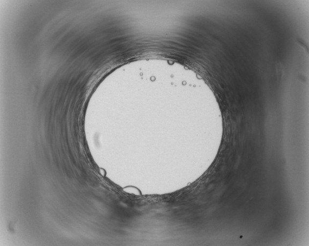 X0000102470289200809051339