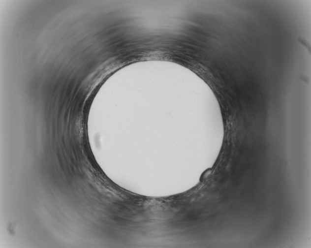 X0000102470290200809051339