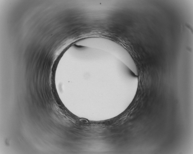 X0000102470292200809051339