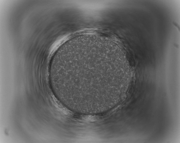 X0000102470293200809051339