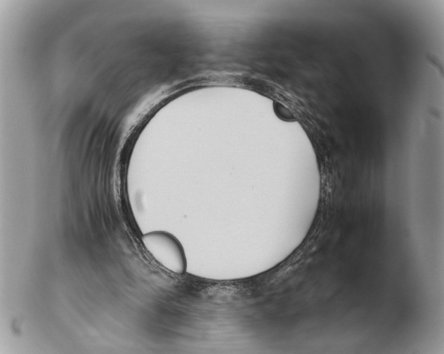 X0000102470294200809051339