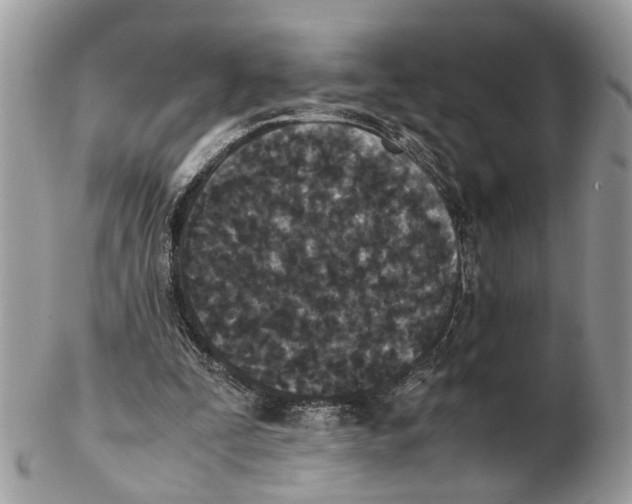 X0000102470295200809051339