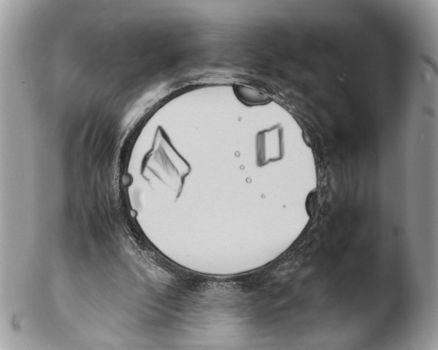 X0000102470296200809051339