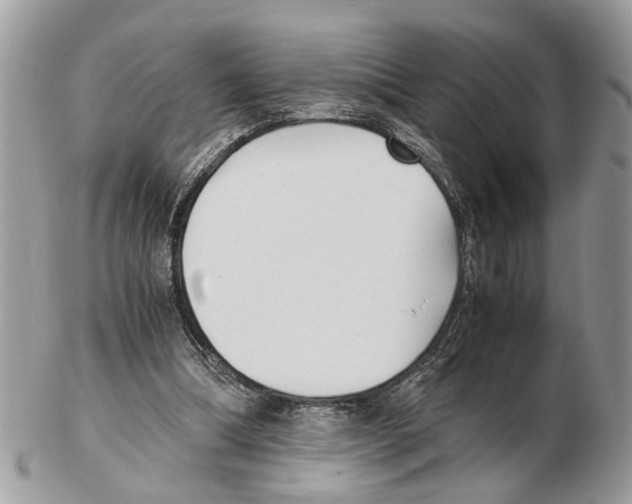 X0000102470298200809051339