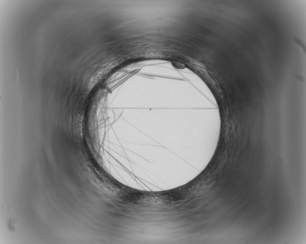 X0000102470299200809051339