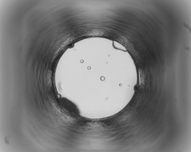 X0000102470300200809051339