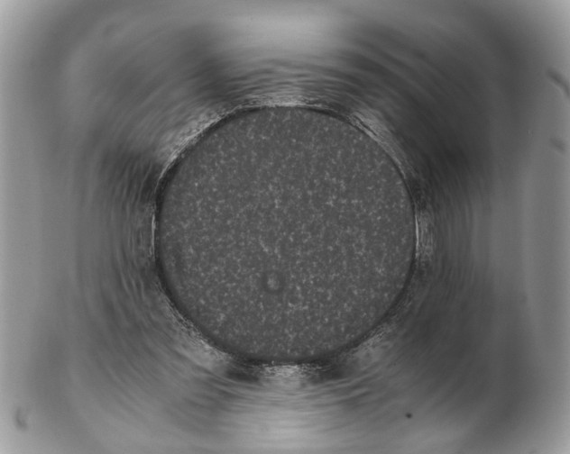 X0000102470301200809051339