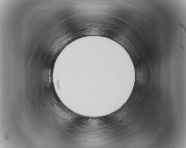 X0000102470302200809051339