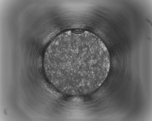 X0000102470303200809051339