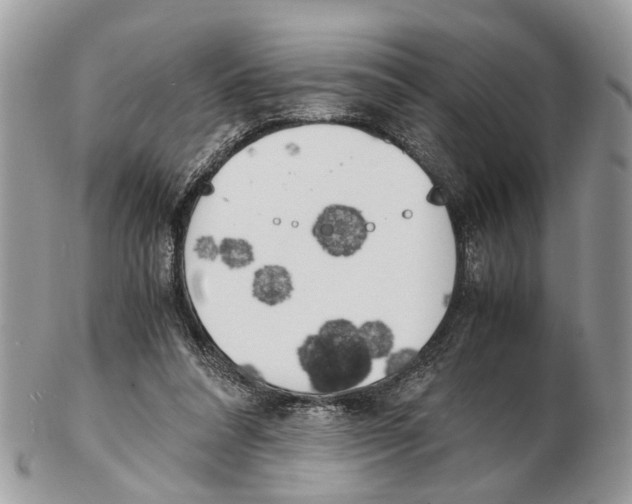 X0000102470304200809051339