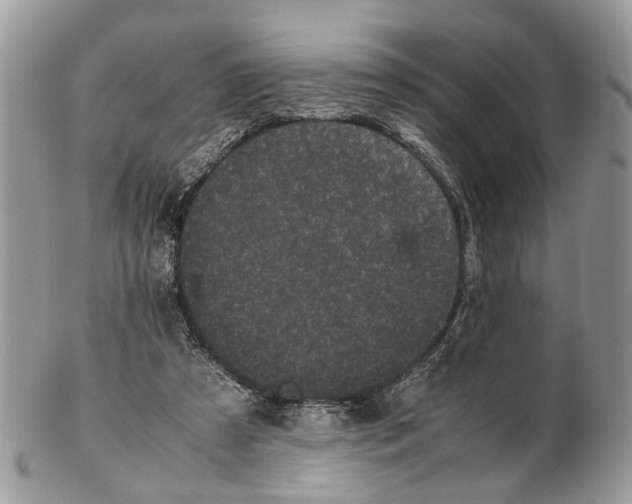 X0000102470305200809051339