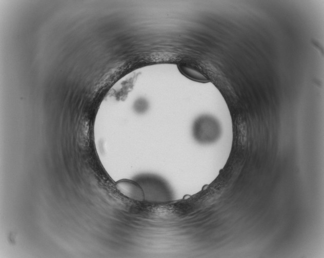 X0000102470308200809051339
