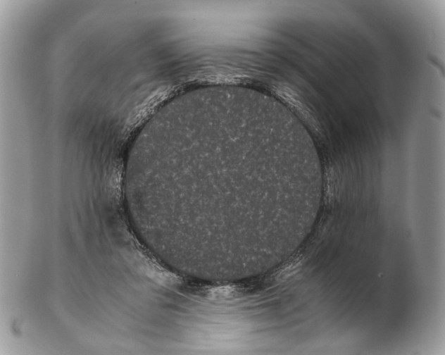 X0000102470309200809051339
