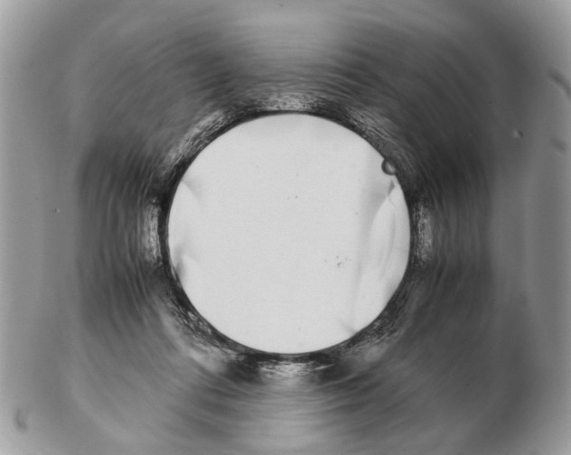 X0000102470312200809051339