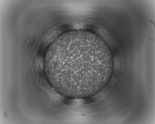 X0000102470313200809051339
