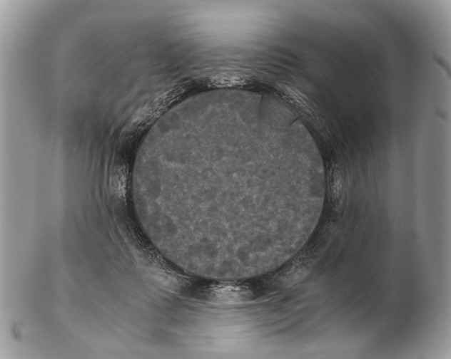 X0000102470315200809051339