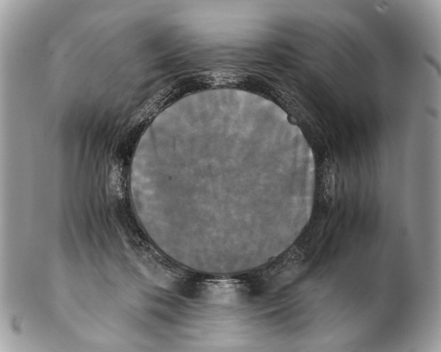 X0000102470316200809051339