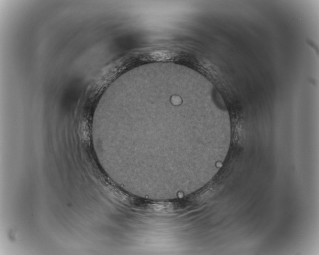 X0000102470317200809051339