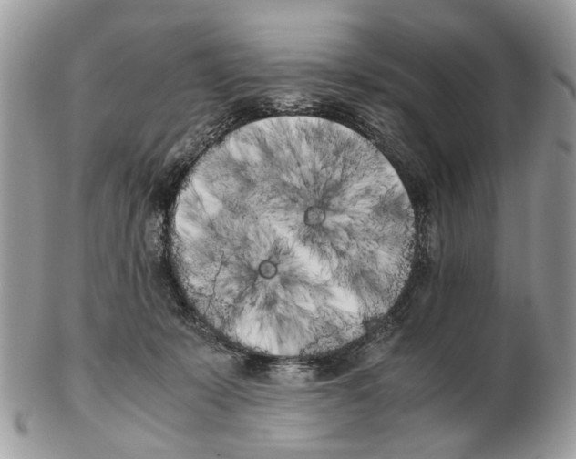 X0000102470319200809051339